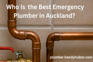 Who Is the Best Emergency Plumber in Auckland